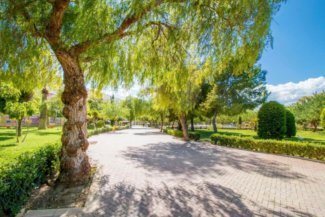 Apartamentos Villa Madrid Τορεβιέχα Εξωτερικό φωτογραφία